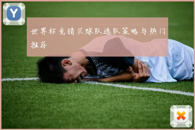 世界杯竞猜买球队选队策略与热门推荐