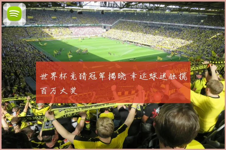 世界杯竞猜冠军揭晓 幸运球迷独揽百万大奖