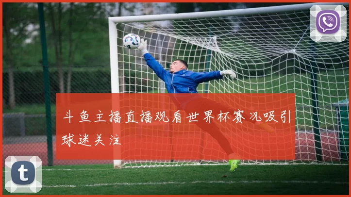 斗鱼主播直播观看世界杯赛况吸引球迷关注